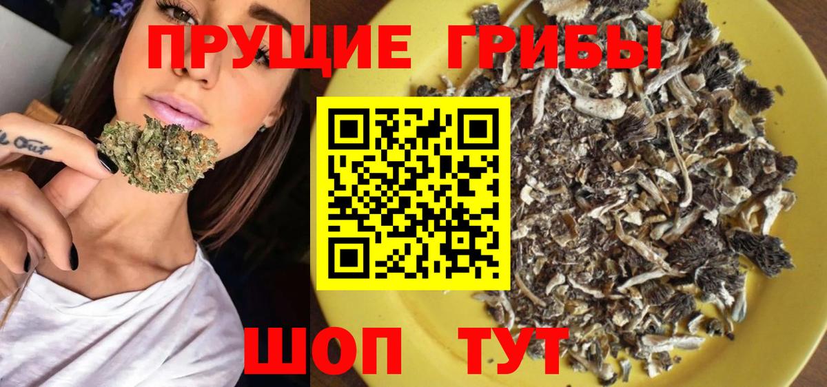 Галлюциногенные грибы Psilocybine cubensis Прокопьевск